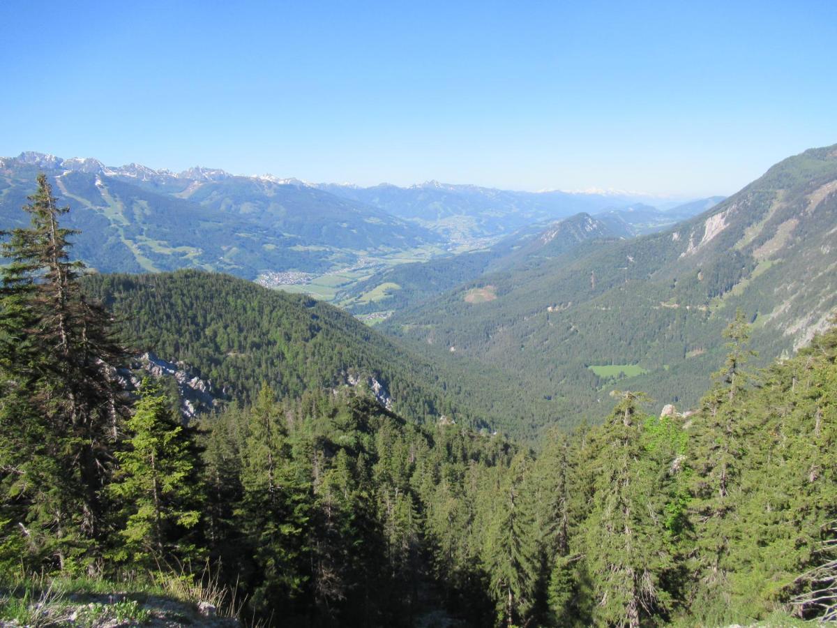 Steinerhaus Berggasthof Grobming Eksteriør bilde