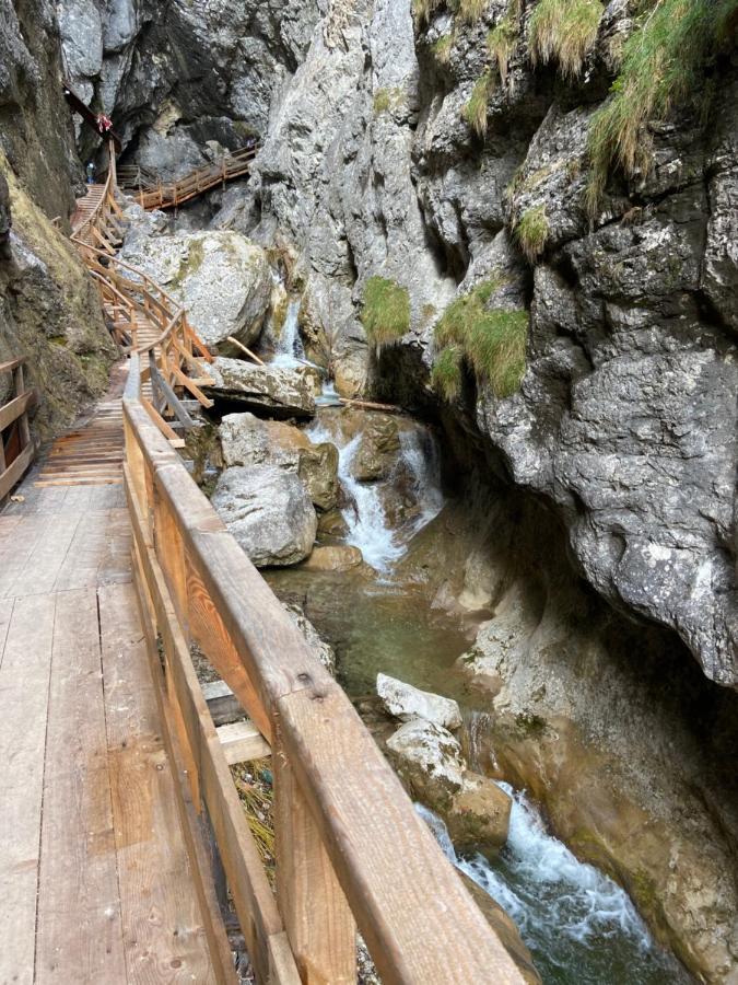 Steinerhaus Berggasthof Grobming Eksteriør bilde